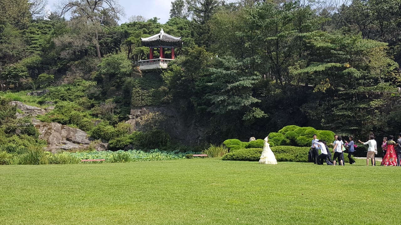 Wedding photos being taken in Moran Hill Park.