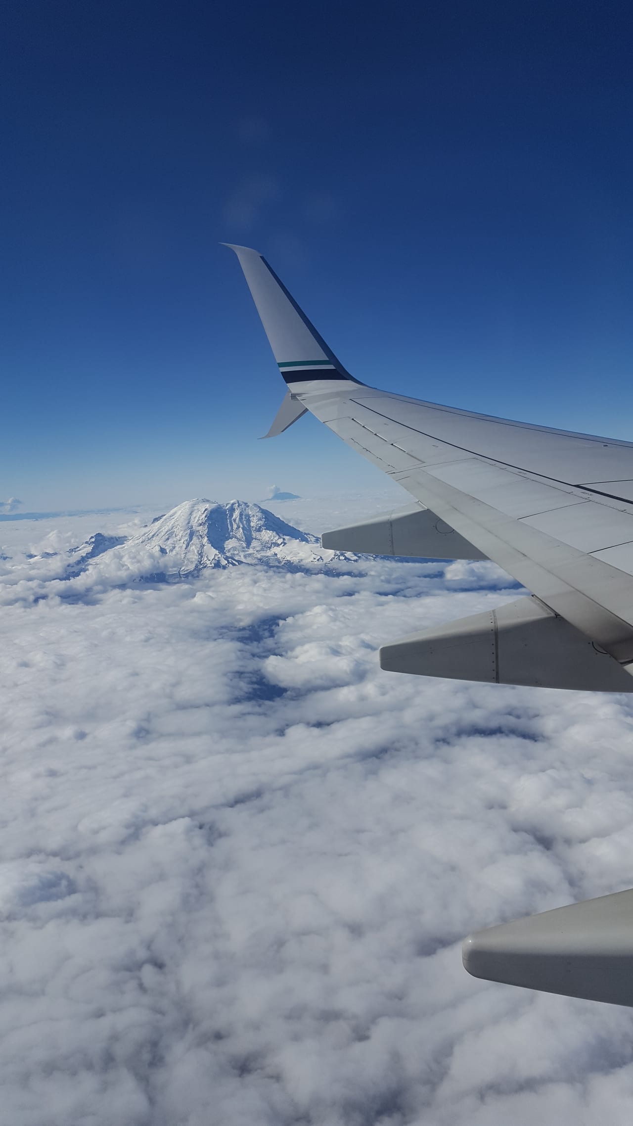 Mount Rainier from the PHX-SEA flight.