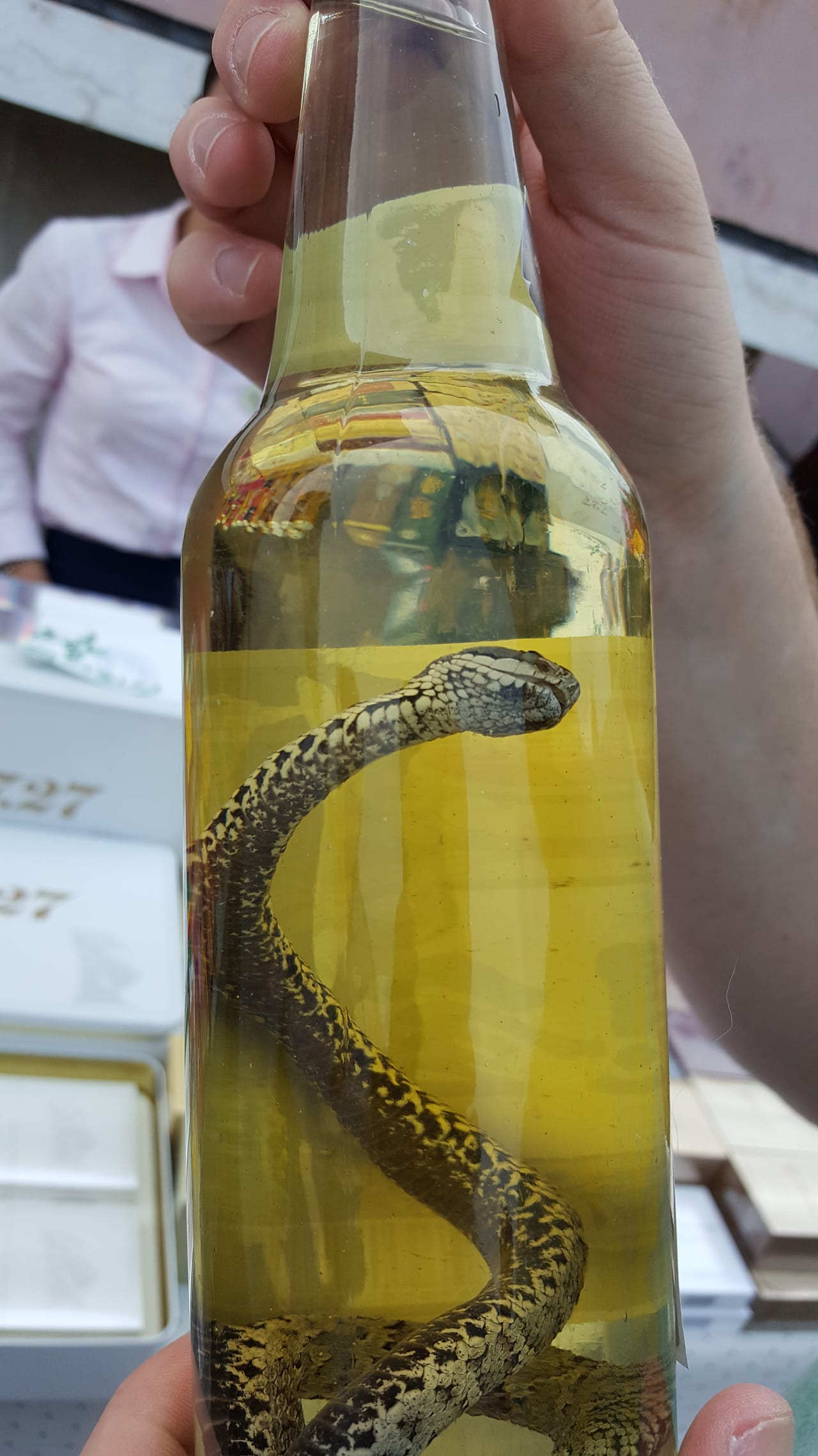 Some liquor drink I might've seen or other group member bought at the restaurant. Needless to say, did not partake.